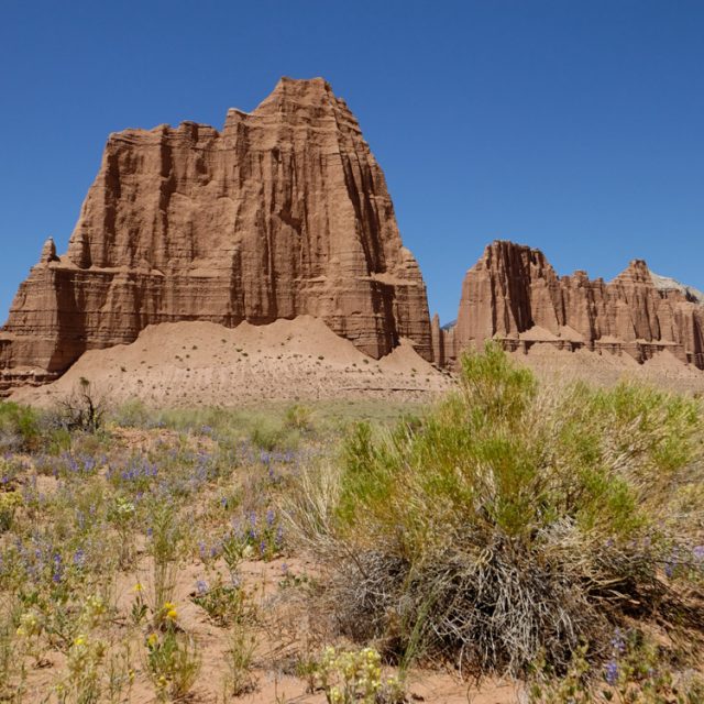 Capitol Reef